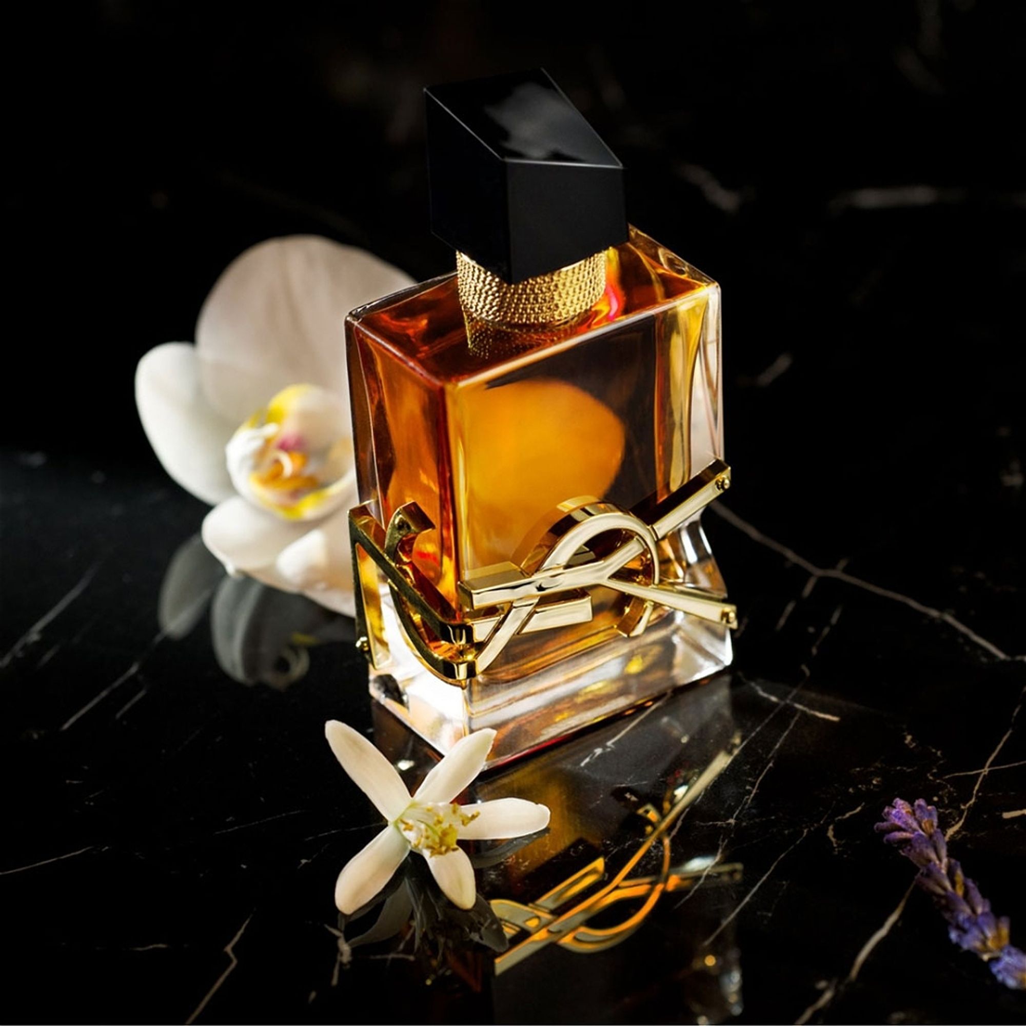 Yves Saint Laurent Libre Eau de Parfum Intense - Felix Panama